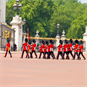 Buckingham palace gates